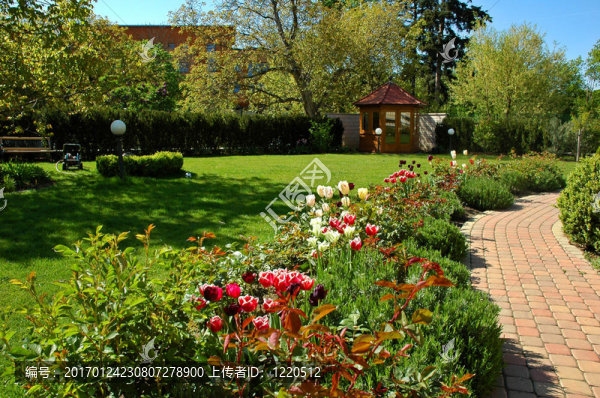 郁金香花園