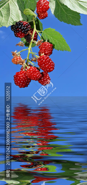 新鮮的覆盆子的鏡子-匯圖網(wǎng) www.fosd68.com 新鮮的覆盆子的鏡子