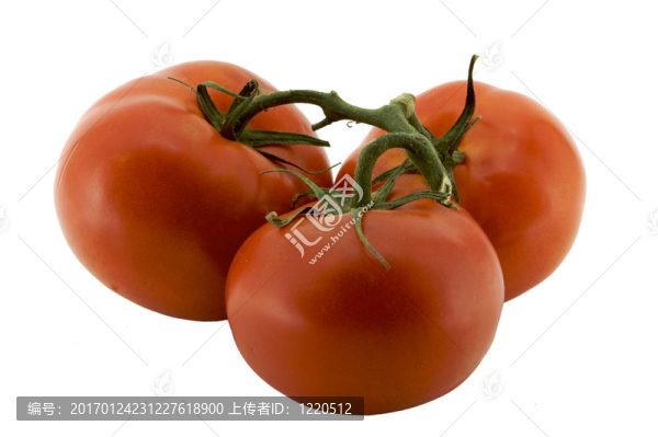 葡萄樹(shù)上的三個(gè)西紅柿