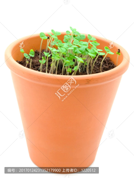 開(kāi)始-匯圖網(wǎng) www.fosd68.com 開(kāi)始