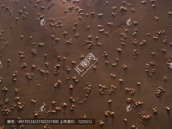 沙灘模式
