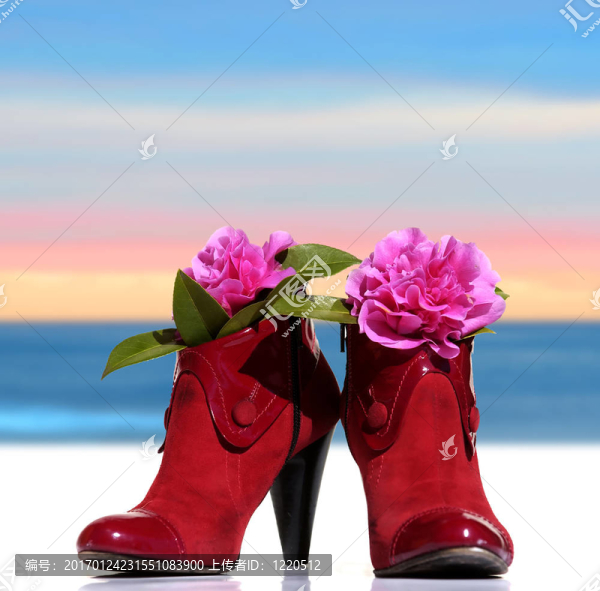 紅色的女人鞋白色花朵-匯圖網(wǎng) www.fosd68.com 紅色的女人鞋白色花朵