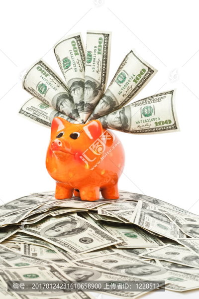 帶美元的貨幣箱