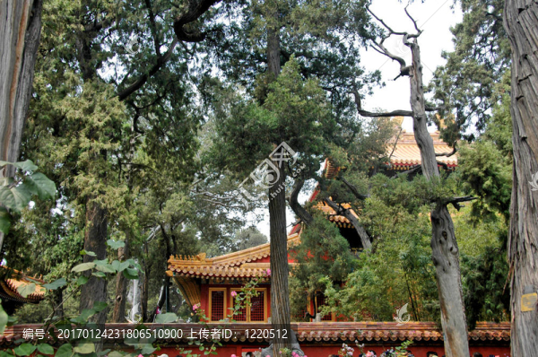 紫禁城