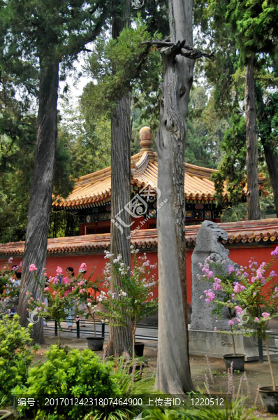 紫禁城