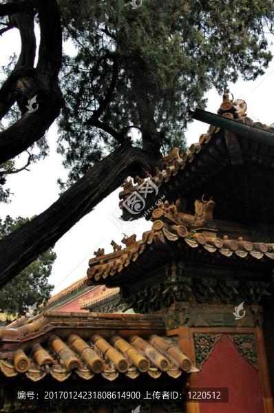紫禁城