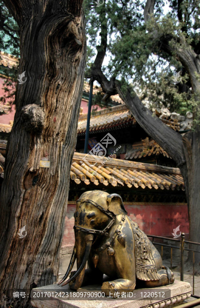 紫禁城-匯圖網(wǎng) www.fosd68.com 紫禁城