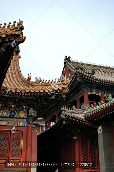 北京-匯圖網(wǎng) www.fosd68.com 北京