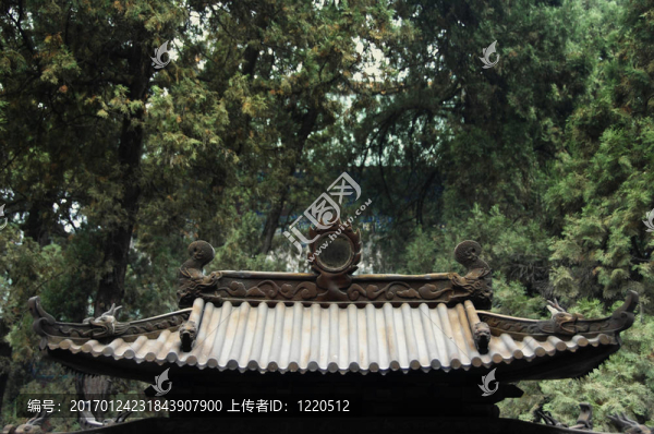 少林
