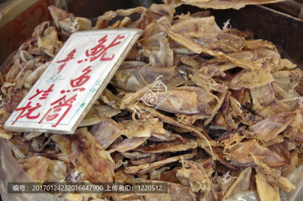 墨魚-匯圖網(wǎng) www.fosd68.com 墨魚