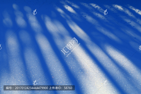 雪原光影