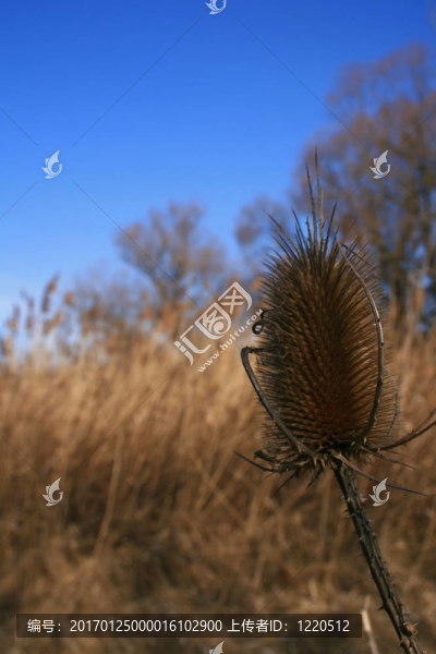 場(chǎng)-匯圖網(wǎng) www.fosd68.com 場(chǎng)