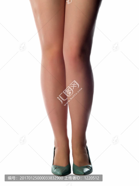性感的腿