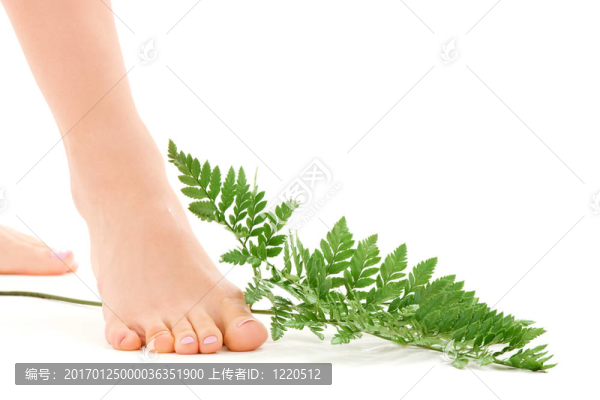 綠葉女腳