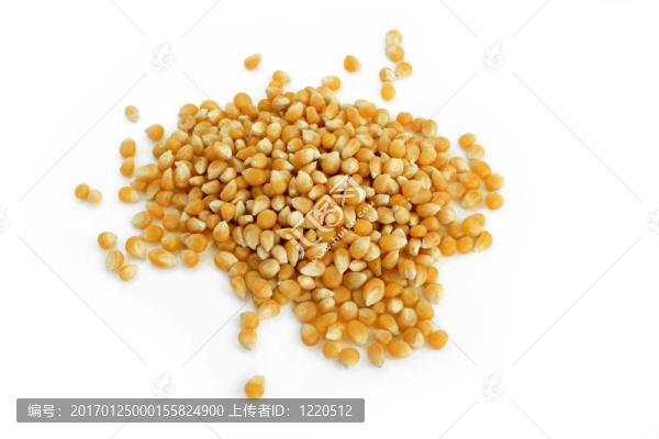 干玉米粒