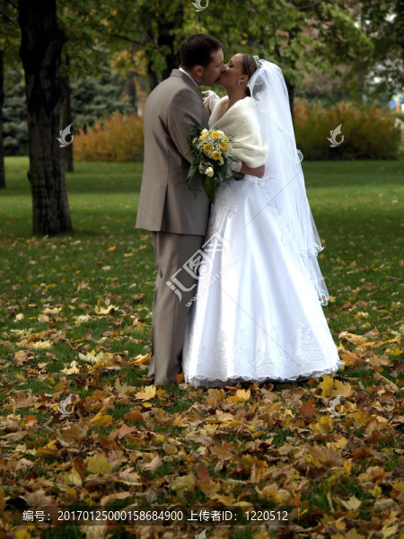 年輕剛結(jié)婚的公園里的吻
