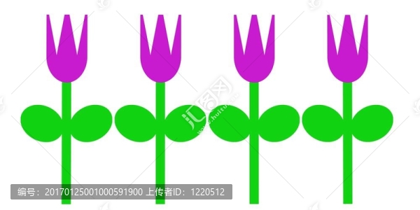 紫色的春天的郁金香