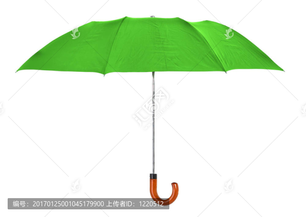 綠傘