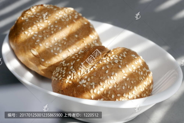 游蕩