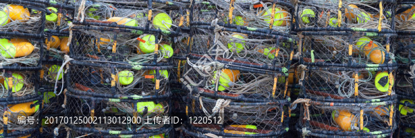 蟹陷阱全景拍攝