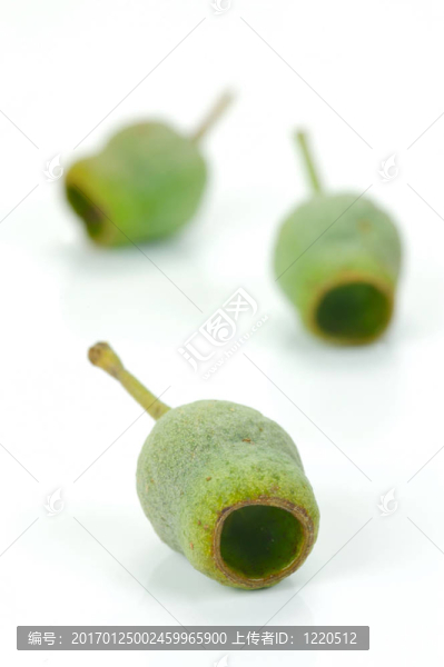 口香糖堅果