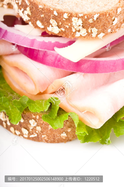 健康的火雞-匯圖網(wǎng) www.fosd68.com 健康的火雞