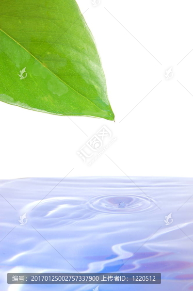 健康與健康概念