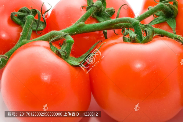 西紅柿