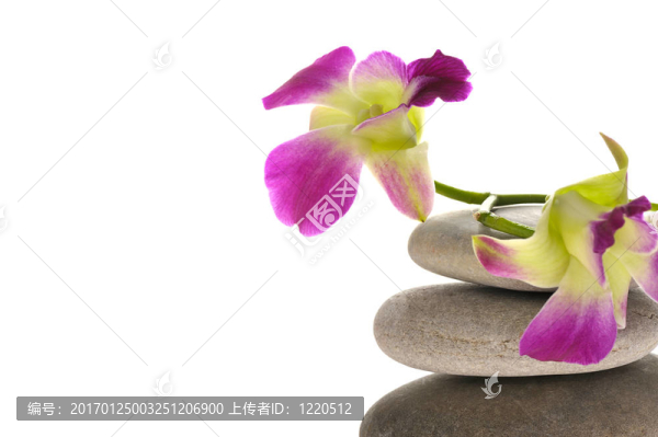 溫泉主題
