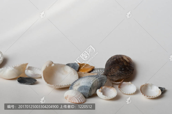 貝殼