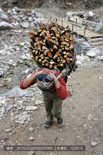 背著柴火-匯圖網(wǎng) www.fosd68.com 背著柴火
