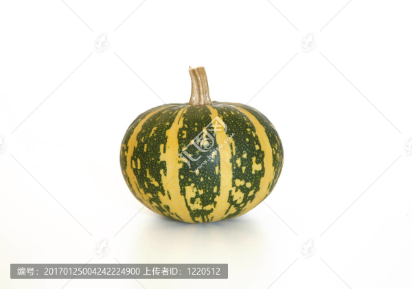 南瓜