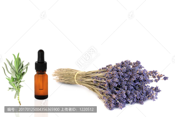 薰衣草花精