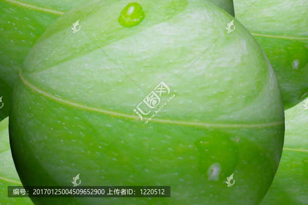 綠色球體