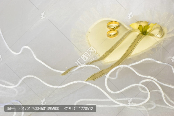 婚紗上的結(jié)婚戒指