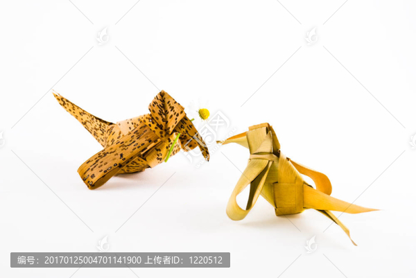 給你的禮物