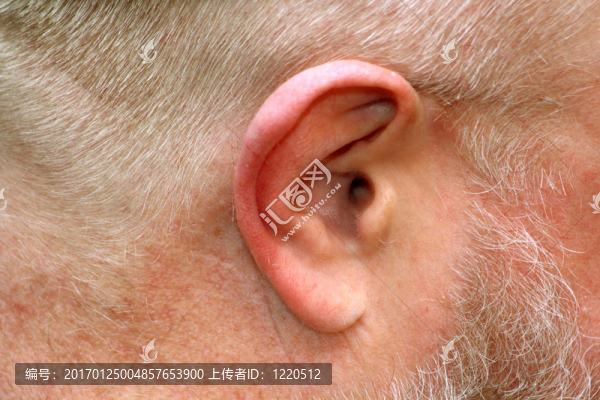 人類(lèi)的耳朵-匯圖網(wǎng) www.fosd68.com 人類(lèi)的耳朵
