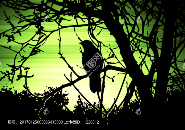 鳥的環(huán)境