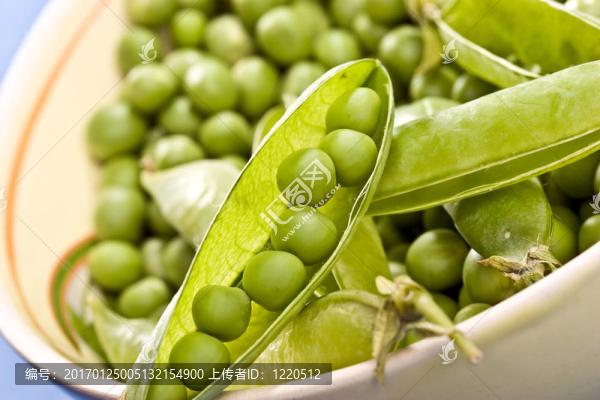 豌豆莢-匯圖網(wǎng) www.fosd68.com 豌豆莢