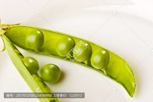 豌豆莢