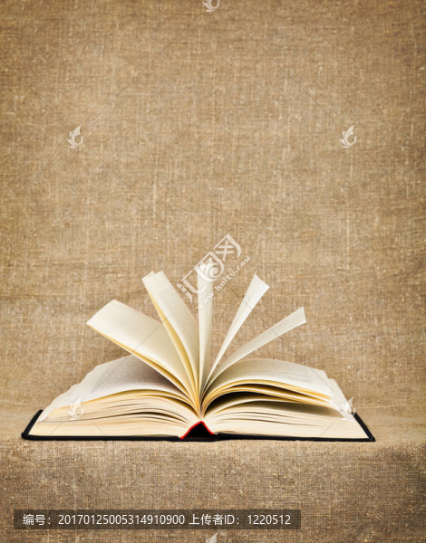 在畫布上打開大的書