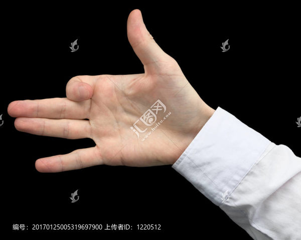 皮影戲-黑色的狗
