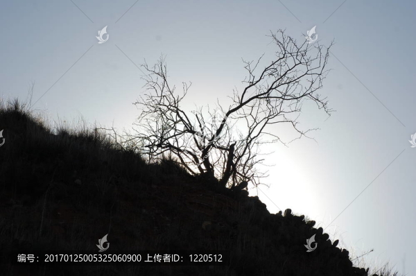 早上好