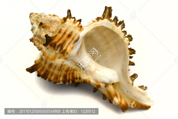 海洋紀(jì)念品輕舟
