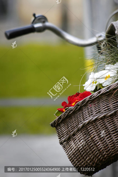 帶花的自行車
