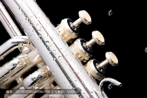 一個銀fluegelhorn細節(jié)