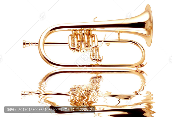 銀fluegelhorn