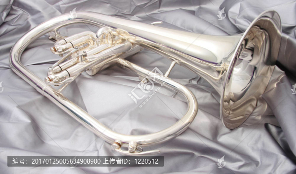 銀fluegelhorn