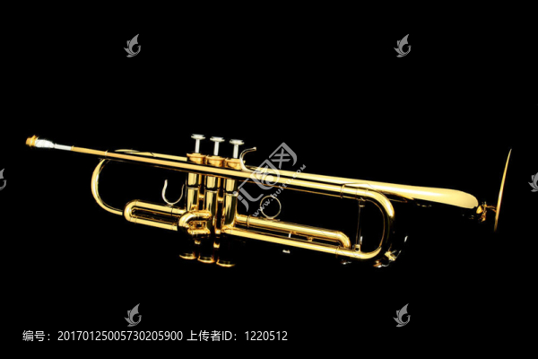 夜晚的金喇叭