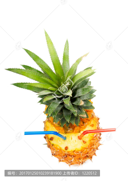 菠蘿酒